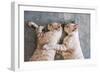 Two Cat Kitten Brethren Sleeping Hug Embrace-Mumemories-Framed Photographic Print