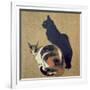 Two Cats, 1894-Théophile Alexandre Steinlen-Framed Giclee Print