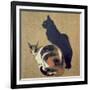 Two Cats, 1894-Théophile Alexandre Steinlen-Framed Giclee Print