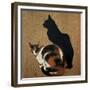 Two Cats, 1894-Theophile Alexandre Steinlen-Framed Giclee Print