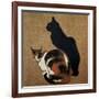 Two Cats, 1894-Theophile Alexandre Steinlen-Framed Giclee Print