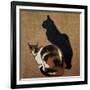 Two Cats, 1894-Theophile Alexandre Steinlen-Framed Giclee Print