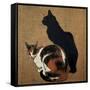 Two Cats, 1894-Theophile Alexandre Steinlen-Framed Stretched Canvas