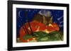 Two Cats 1913-Franz Marc-Framed Giclee Print