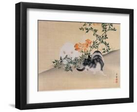 Two Cats, Illustration from 'The Kokka' Magazine, 1898-99-Japanese School-Framed Giclee Print