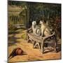 Two Cats on Garden Bench-H.w. Petherick-Mounted Art Print