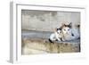 Two Cats on Stone Steps-Alberto Coto-Framed Photographic Print