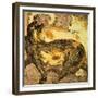 Two Cats-Franz Marc-Framed Giclee Print