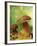 Two Ceps (Boletus Edulis) in Leaves-Vladimir Shulevsky-Framed Photographic Print