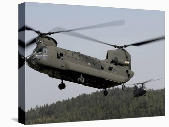 Two CH-47 Chinook Helicopters in Flight-Stocktrek Images-Stretched Canvas