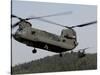 Two CH-47 Chinook Helicopters in Flight-Stocktrek Images-Stretched Canvas