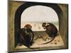 Two Chained Monkeys, 1562-Pieter the Elder Bruegel-Mounted Premium Giclee Print