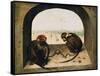 Two Chained Monkeys, 1562-Pieter the Elder Bruegel-Framed Stretched Canvas