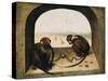 Two Chained Monkeys, 1562-Pieter the Elder Bruegel-Stretched Canvas