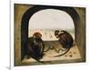 Two Chained Monkeys, 1562-Pieter the Elder Bruegel-Framed Giclee Print