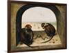 Two Chained Monkeys, 1562-Pieter the Elder Bruegel-Framed Giclee Print