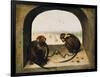 Two Chained Monkeys, 1562-Pieter the Elder Bruegel-Framed Giclee Print