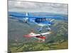 Two Champion Aircraft Citabrias in Flight-Stocktrek Images-Mounted Photographic Print