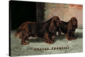 Two Champion Sussex Spaniels-null-Stretched Canvas