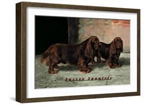 Two Champion Sussex Spaniels-null-Framed Art Print