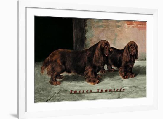 Two Champion Sussex Spaniels-null-Framed Art Print