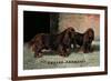 Two Champion Sussex Spaniels-null-Framed Art Print