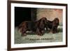 Two Champion Sussex Spaniels-null-Framed Premium Giclee Print