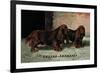 Two Champion Sussex Spaniels-null-Framed Art Print