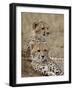 Two Cheetah Cubs, Masai Mara National Reserve, Kenya, East Africa, Africa-James Hager-Framed Photographic Print