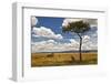 Two Cheetahs Enjoying the Shade in the Maasai Mara, Kenya-Axel Brunst-Framed Photographic Print