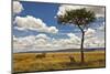 Two Cheetahs Enjoying the Shade in the Maasai Mara, Kenya-Axel Brunst-Mounted Photographic Print