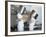 Two Chefs Having Discussion with Large Pans on their Heads-Robert Kneschke-Framed Photographic Print