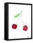 Two Cherries I-Nola James-Framed Stretched Canvas