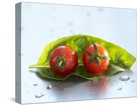 Two Cherry Tomatoes on a Basil Leaf-Roland Krieg-Stretched Canvas