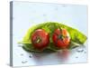 Two Cherry Tomatoes on a Basil Leaf-Roland Krieg-Stretched Canvas