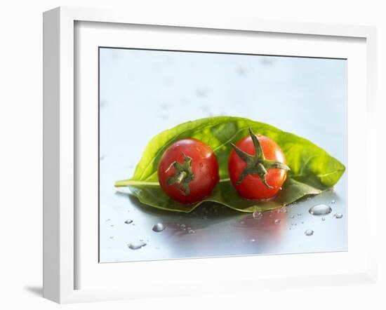 Two Cherry Tomatoes on a Basil Leaf-Roland Krieg-Framed Photographic Print