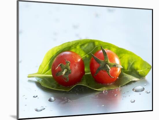 Two Cherry Tomatoes on a Basil Leaf-Roland Krieg-Mounted Photographic Print