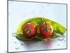 Two Cherry Tomatoes on a Basil Leaf-Roland Krieg-Mounted Photographic Print