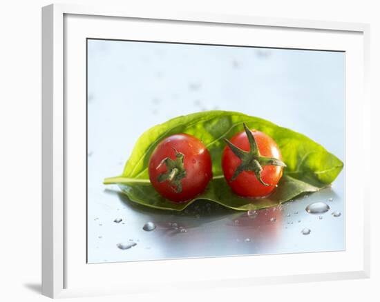 Two Cherry Tomatoes on a Basil Leaf-Roland Krieg-Framed Photographic Print