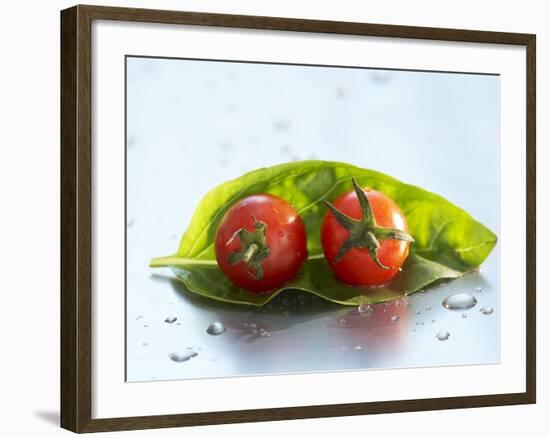 Two Cherry Tomatoes on a Basil Leaf-Roland Krieg-Framed Photographic Print