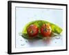 Two Cherry Tomatoes on a Basil Leaf-Roland Krieg-Framed Photographic Print