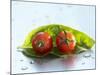 Two Cherry Tomatoes on a Basil Leaf-Roland Krieg-Mounted Photographic Print