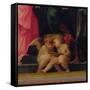 Two Cherubs Reading, Detail from Madonna and Child with Saints, 1518-Rosso Fiorentino (Battista di Jacopo)-Framed Stretched Canvas