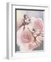 Two Cherubs & Rose-Unknown Chiu-Framed Art Print