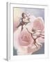Two Cherubs & Rose-Unknown Chiu-Framed Art Print