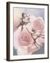 Two Cherubs & Rose-Unknown Chiu-Framed Art Print