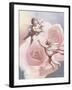 Two Cherubs & Rose-Unknown Chiu-Framed Art Print