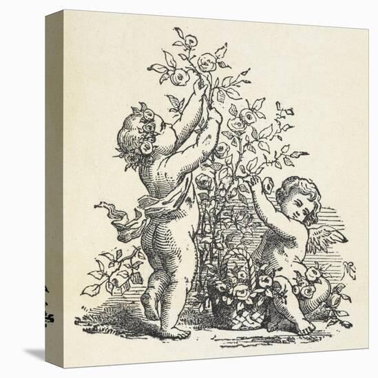 Two Cherubs With a Rose Bush-null-Stretched Canvas