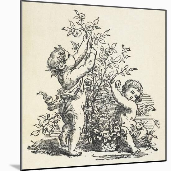 Two Cherubs With a Rose Bush-null-Mounted Giclee Print