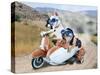 Two Chihuahuas In A Scooter-graphicphoto-Stretched Canvas